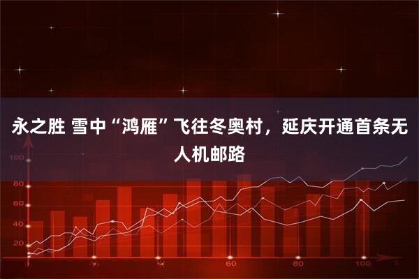 永之胜 雪中“鸿雁”飞往冬奥村，延庆开通首条无人机邮路