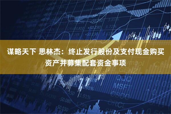 谋略天下 思林杰：终止发行股份及支付现金购买资产并募集配套资金事项