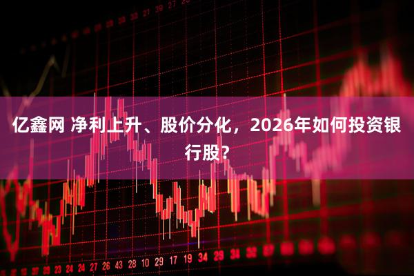 亿鑫网 净利上升、股价分化，2026年如何投资银行股？